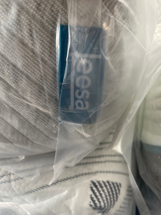 LEESA FOAM QUEEN MATTRESS