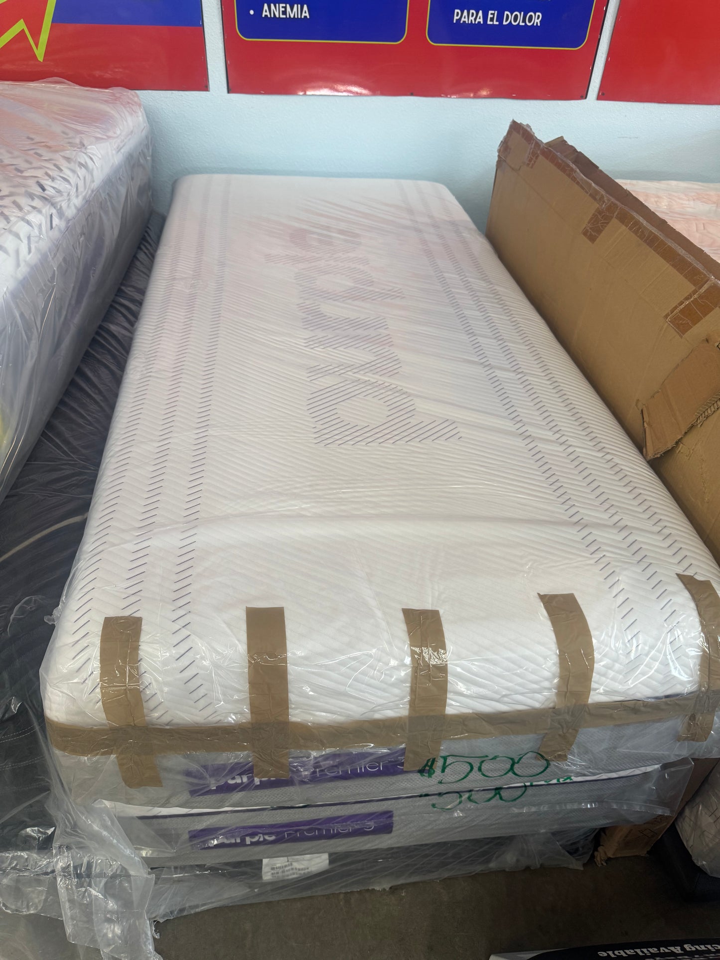 PURPLE PREMIER 3 TWIN XL